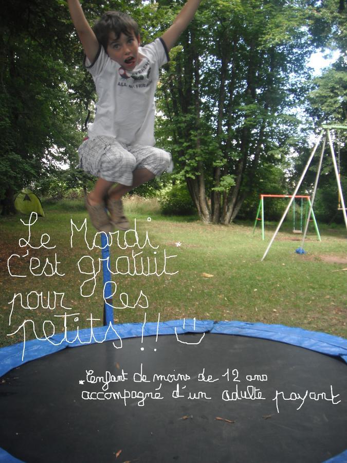 Restaurant Les Platanes Hotel Montfaucon-en-Velay