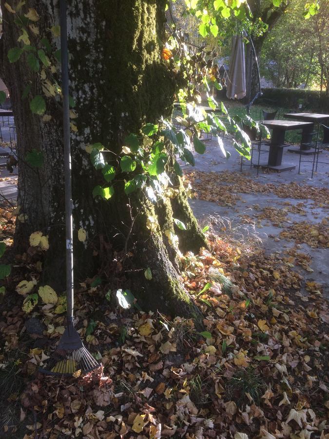 Hotel Restaurant Les Platanes Montfaucon-en-Velay