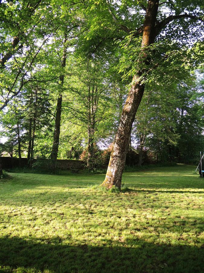 Restaurant Les Platanes * Montfaucon-en-Velay